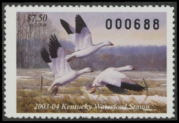 Scan of KY19 2003 MNH VF