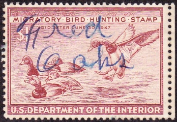 Picture of RW13 1946 Duck Stamp. Used