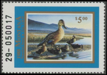 Picture of 1988 Montana Duck Stamp  MNH VF