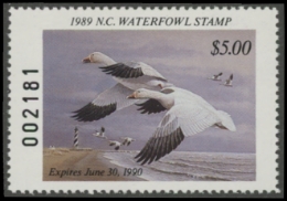 Scan of NC7 1989 MNH VF