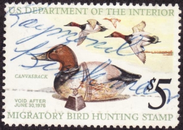 Picture of RW42 1975 Duck Stamp  Used F-VF