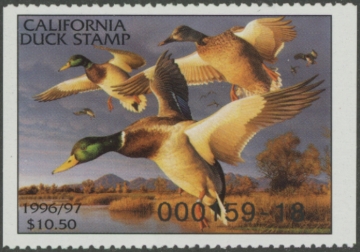 Picture of 1996 California Duck Stamp MNH VF