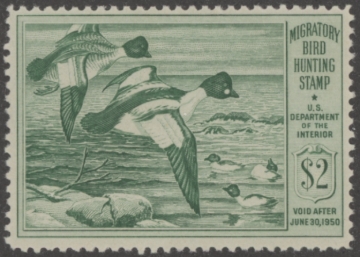Picture of RW16 1949 Duck Stamp  MNH F-VF