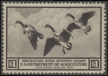 Scan of RW3 1936 Unsigned F-VF