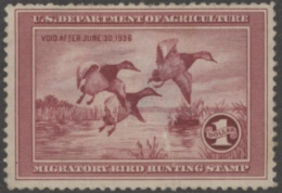 Scan of RW2 1935 Unsigned, Faults Fine