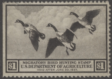 Scan of RW3 1936 MLH, Faults F-VF