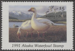 Picture of 1991 Alaska Duck Stamp MNH VF
