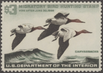 Picture of RW32 1965 Duck Stamp  MNH VF