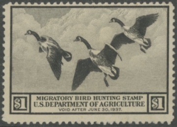 Scan of RW3 1936 Unsigned, Creased F-VF