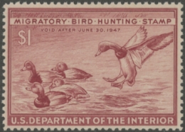 Scan of RW13 1946 MNH VF