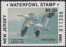 Scan of NJ6 1989 MNH VF