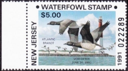 Scan of NJ5NR 1991 MNH VF
 Brandt Error