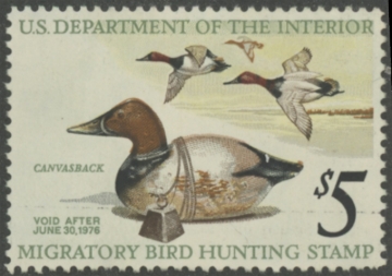 Picture of RW42 1975 Duck Stamp  Unsigned F-VF