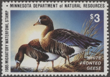 Picture of 1985 Minnesota Duck Stamp MNH VF