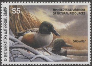 Picture of 1997 Minnesota Duck Stamp MNH VF