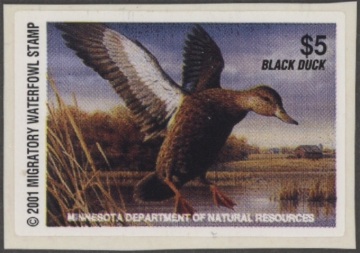 Picture of 2001 Minnesota Duck Stamp MNH VF