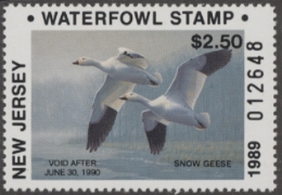 Scan of NJ6 1989 MNH VF