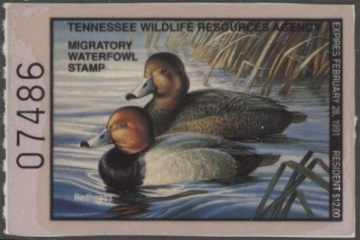 Picture of 1990 Tennessee Duck Stamp MNH VF