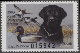 Scan of KY11 1995 MNH VF