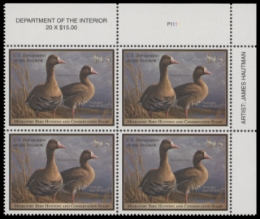 Scan of RW78 2011 MNH F-VF