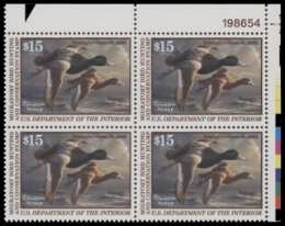 Scan of RW66 1999 MNH F-VF