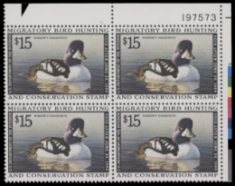 Scan of RW65 1998 MNH F-VF