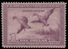 Scan of RW5 1938 MNH F-VF