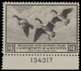 Scan of RW3 1936 MNH F-VF