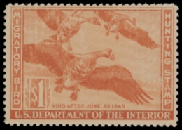 Scan of RW11 1944 MNH F-VF