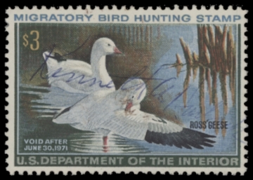 Picture of RW37 1970 Duck Stamp  Used F-VF