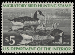 Scan of RW43 1976 MNH F-VF