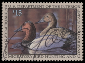 Picture of RW60 1993 Duck Stamp  Used F-VF
