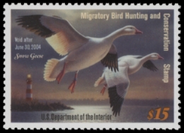 Scan of RW70 2003 MNH F-VF
