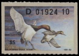 Scan of CA11 1981 MNH VF