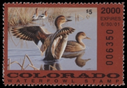 Scan of CO11 2000 MNH VF
