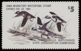 Picture of 1979 Iowa Duck Stamp MNH VF