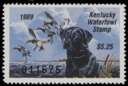 Scan of KY5 1989 MNH VF