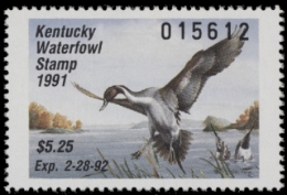 Scan of KY7 1991 MNH VF