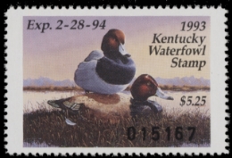 Scan of KY9 1993 MNH VF