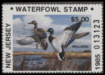Picture of 1985 New Jersey Duck Stamp  MNH VF