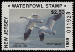 Scan of NJ6 1989 MNH VF
