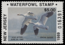 Scan of NJ6 1989 MNH VF