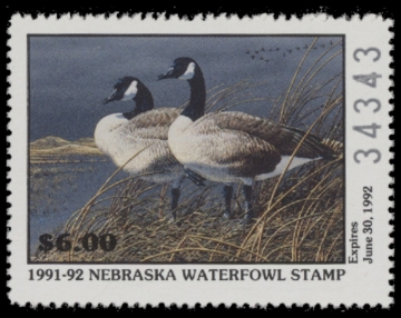 Picture of 1991 Nebraska Duck Stamp - First of State MNH VF