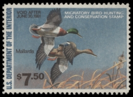 Picture of RW47 1980 Duck Stamp. Unsigned