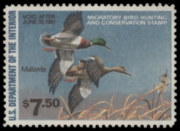 Picture of RW47 1980 Duck Stamp. Unsigned