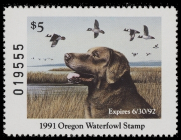 Picture of 1991 Oregon Duck Stamp MNH VF