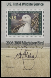 Picture of RW73B 2006 Duck Stamp  MNH F-VF