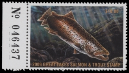Picture of 2009 Wisconsin Great Lakes Salmon & Trout Stamp  MNH VF