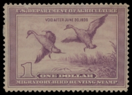 Scan of RW5 1938 Unsigned F-VF