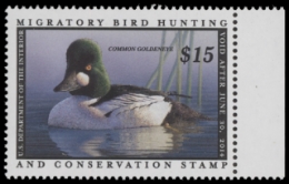 Scan of RW80 2013 MNH F-VF